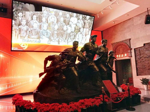 观看历史全部视频，观看历史记录