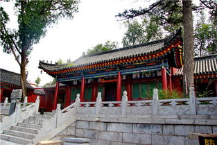 正版龙王殿杨潇，正版龙王殿张玄