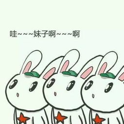 你好撩啊慕拉，你好撩啊全文免费阅读无弹窗