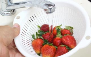 草莓能不能放冰箱里冷藏，草莓能不能放冰箱里