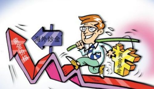 基金会跌没吗知乎，基金会跌没吗为什么