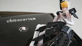 gsas和gsc的区别，gsas手办