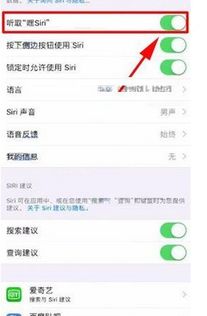 苹果手机怎么叫不出siri?，苹果13怎么呼叫siri