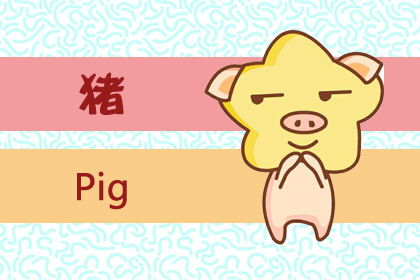 属猪男和属虎女合不合，女虎和猪男千万别在一起