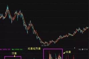 如何办理股票开户手续，中国正规股票app