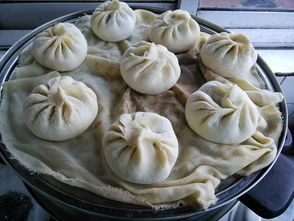 肉包子蒸多久可以出锅，萝卜大肉包子蒸多久