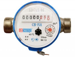 家用水表多少钱一个，家用水表品牌前十名