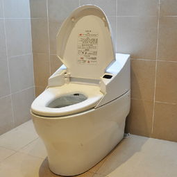 惠达马桶怎么样?，什么牌马桶质量好