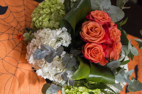 摇钱花app下载，摇钱花是正规网贷吗