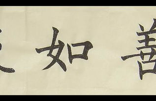 见贤思齐,从善如流的意思，从善如流的意思和造句