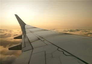 梦见自己在空中飞来飞去，梦见自己在空中飞着走路