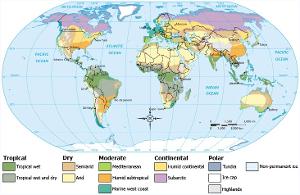 地中海气候主要分布在哪里，地中海气候成因