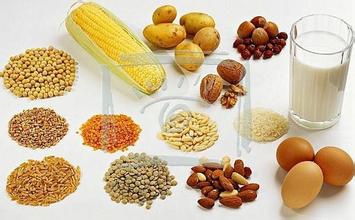 动物蛋白粉有哪些品牌，什么是蛋白质食物有哪些