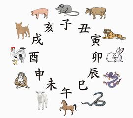 二十生肖顺序图片 12生肖，二十生肖顺序与年龄