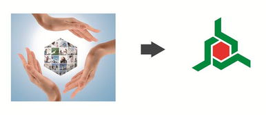 手掌的拼音和组词，有趣的拼音