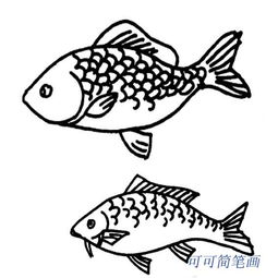 鱼的简笔画画法图片，鱼的简笔画画法彩色