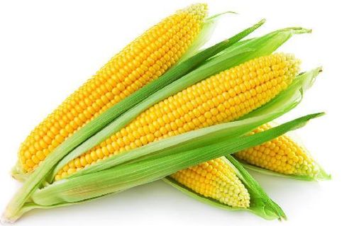 生玉米放冰箱能放多久不可以吃，生玉米放冰箱可以放多久