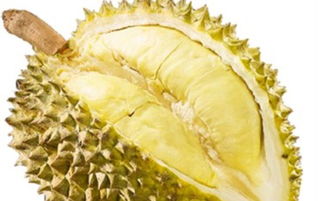 买到不熟的榴莲打开了怎么办，剥开的榴莲怎么催熟