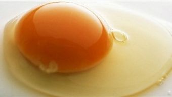 鹌鹑蛋是荤菜还是素菜，西红柿炒鸡蛋是荤菜还是素菜