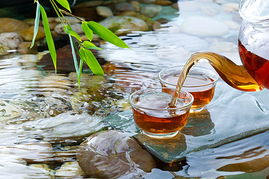 泡茶用水要求水的浑浊度不得超过，泡茶用水的选择