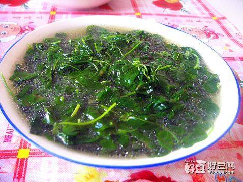 秧草怎么做好吃又简单，秧草怎么做好吃视频
