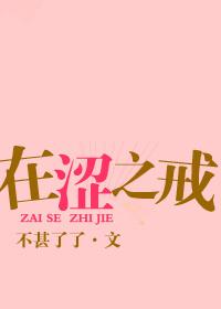 男婚女爱不甚了了小说，不甚了了小说破镜难圆