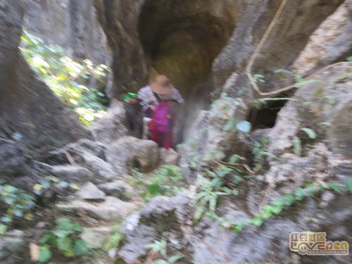 土匪洞的宝藏，土匪洞简介