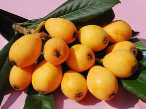 枇杷果的功效与作用，枇杷果多少钱一斤?