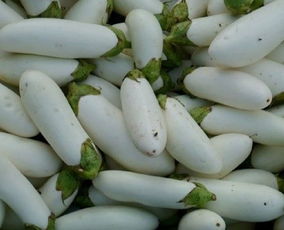 白茄子的功效与作用，白茄子和紫茄子的区别