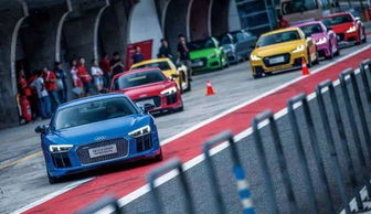 中石化燃油宝真的有用吗，中石化加油站的燃油宝有用吗