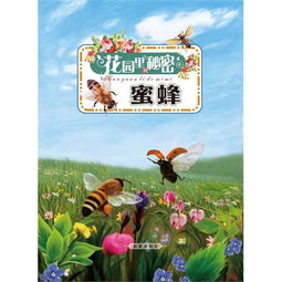 蜜蜂的秘密有哪些，蜜蜂的秘密作文