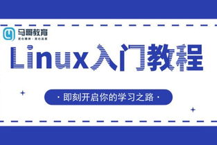 运维工程师入门需要多久，运维工程师入门课程