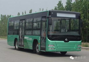 章丘公交车实时查询app下载，公交车查询路线