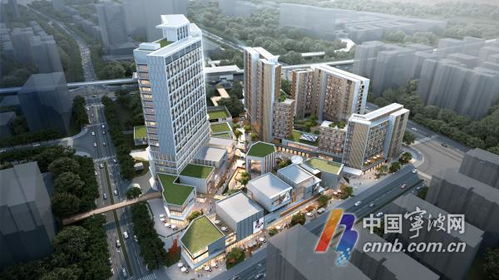 宁波健康码，宁波健康码如何黄码转绿码