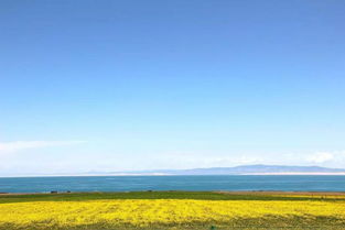 青海在哪里 地图