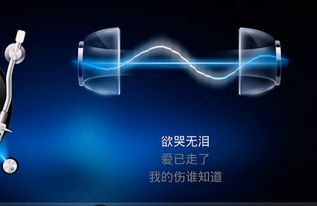 music是什么意思英文怎么读音，music