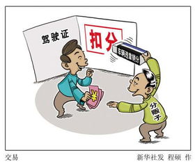 d是什么驾照，d和e是什么驾照