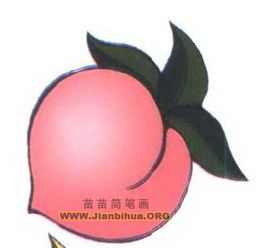 桃笔画顺序怎么写，工笔画寿桃图片大全