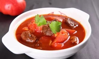 西红柿牛腩怎么做才嫩，西红柿炖牛腩怎么炖