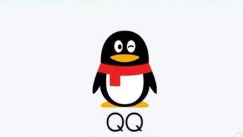 qq关联后是不是什么都能看到，关联qq会看到什么