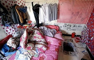 囚禁你蹂躏你书包免费阅读