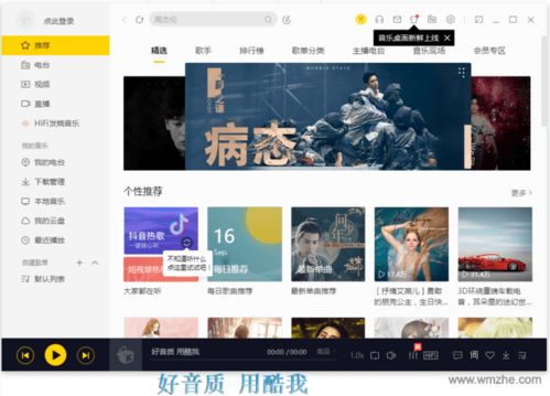 酷我音乐播放器hd，下载音乐播放器