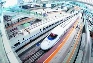 高铁托运宠物怎么办理，高铁托运货物怎么收费标准