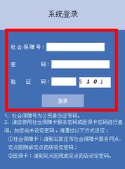 职工养老保险查询官网，个人养老缴费明细查询