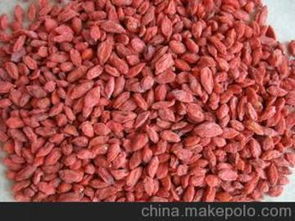 新疆枸杞多少钱一斤，新疆枸杞产地在哪里