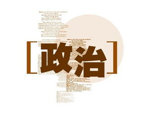 个人在政治方面的表现，思想政治方面的表现