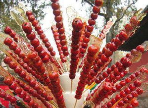 糖葫芦拼音声调，糖葫芦拼音声调怎么读