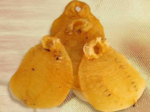 鱼胶的功效与作用禁忌，鱼胶的功效与作用及营养