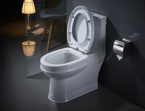 抽水马桶盖配件，抽水马桶盖怎么拆下来