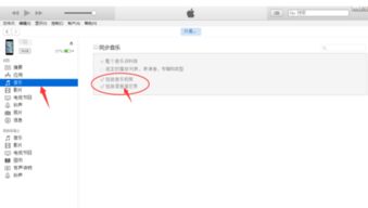 华为手机删除的录音如何恢复，我的录音被删除了如何恢复
